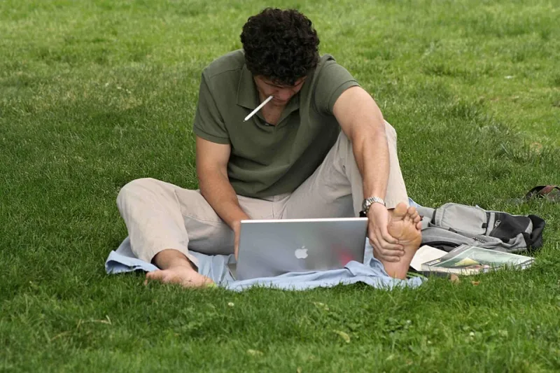 Degrees on a Shelf, Work on a Screen: The New Hierarchy of Professional Credibility in Tech